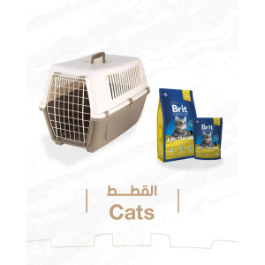 %shop-name%%separator%%category-name%